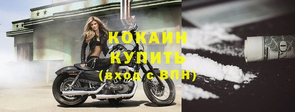 соль ск Богородицк