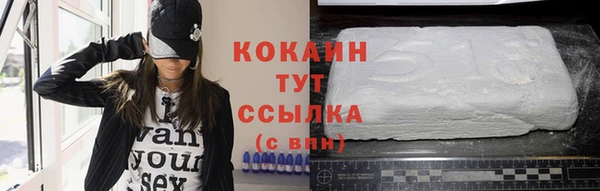 соль ск Богородицк