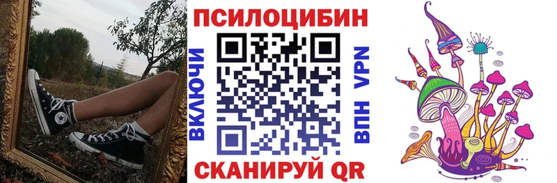 Псилоцибиновые грибы GOLDEN TEACHER  где купить наркотик  Нестеровская 